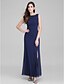 cheap Special Occasion Dresses-Sheath / Column Furcal Dress Formal Evening Ankle Length Sleeveless Scoop Neck Georgette with Side Draping 2024