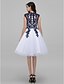 Χαμηλού Κόστους Φορέματα για Ειδικές Περιστάσεις-Γραμμή Α Εφαρμοστό &amp; Εμβαζέ Μπλοκ χρωμάτων Φόρεμα Κοκτέιλ Πάρτι Χοροεσπερίδα Μέχρι το γόνατο Αμάνικο Ζιβάγκο Τούλι με Διακοσμητικά Επιράμματα 2024