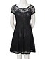 cheap Women&#039;s Dresses-Women&#039;s Lace Going out Sophisticated Slim Lace Dress - Solid Colored Summer Black Red Blue S M L XL