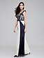 cheap Prom Dresses-Mermaid / Trumpet Color Block Prom Formal Evening Dress V Neck Sleeveless Ankle Length Satin with Lace 2020