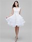 cheap Cocktail Dresses-Ball Gown Dress Holiday Knee Length Sleeveless Illusion Neck Tulle with 2022 / Cocktail Party / Prom