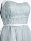 cheap Special Occasion Dresses-A-Line Open Back Prom Formal Evening Dress Strapless Sleeveless Floor Length Lace Tulle with Lace Draping
