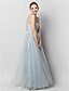 cheap Special Occasion Dresses-A-Line Open Back Prom Formal Evening Dress Strapless Sleeveless Floor Length Lace Tulle with Lace Draping