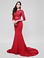 cheap Evening Dresses-Mermaid / Trumpet See Through Dress Formal Evening Court Train 3/4 Length Sleeve Illusion Neck Tulle with Appliques 2024