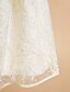 cheap Flower Girl Dresses-A-Line Knee Length Flower Girl Dress First Communion Cute Prom Dress Lace with Lace Fit 3-16 Years