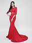 cheap Evening Dresses-Mermaid / Trumpet See Through Dress Formal Evening Court Train 3/4 Length Sleeve Illusion Neck Tulle with Appliques 2024