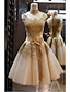 cheap Prom Dresses-A-Line Beautiful Back Cute Cocktail Party Prom Dress High Neck Sleeveless Short / Mini Lace Over Tulle with Bow(s) Appliques 2021