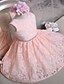 cheap Flower Girl Dresses-A-Line Short / Mini Flower Girl Dress Pageant &amp; Performance Cute Prom Dress Lace with Sash / Ribbon Fit 3-16 Years