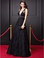 cheap Prom Dresses-A-Line Elegant Dress Prom Floor Length Sleeveless V Neck All Over Lace V Back with Beading 2023