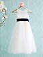 cheap Flower Girl Dresses-A-Line Tea Length Flower Girl Dress First Communion Cute Prom Dress Lace with Sash / Ribbon Fit 3-16 Years