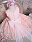 cheap Flower Girl Dresses-A-Line Short / Mini Flower Girl Dress Pageant &amp; Performance Cute Prom Dress Lace with Sash / Ribbon Fit 3-16 Years