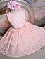 cheap Flower Girl Dresses-A-Line Short / Mini Flower Girl Dress Pageant &amp; Performance Cute Prom Dress Lace with Sash / Ribbon Fit 3-16 Years