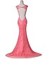 preiswerte Abendkleider-Trompete / Meerjungfrau Formeller Abend Kleid V-Ausschnitt Pinsel Schleppe Spitze mit Spitze 2020