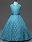 levne Šaty-Girls &#039; Bez rukávů Jednobarevné 3D tištěná grafika Šaty Krajkový Polyester Šaty Léto Jdeme ven