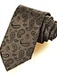 olcso Kiegészítők férfiaknak-Férfi Paisley Vintage / Party / Munkahelyi - Nyakkendő