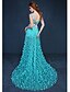 cheap Evening Dresses-A-Line Floral Formal Evening Dress V Neck Sleeveless Court Train Tulle with Pearls Appliques 2020