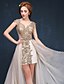 preiswerte Abendkleider-Ballkleid Vintage Inspirationen Formeller Abend Kleid V-Ausschnitt Ärmellos Asymmetrisch Spitze Organza mit Perlenstickerei 2020