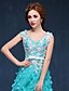 cheap Evening Dresses-A-Line Floral Formal Evening Dress V Neck Sleeveless Court Train Tulle with Pearls Appliques 2020