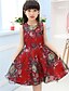 abordables Robes-FILLE Floral Graphique imprimé en 3D Robes Polyester Robe Eté Casual Quotidien