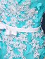 baratos Vestidos de Noite-Linha A Floral Evento Formal Vestido Decote V Sem Manga Cauda Corte Tule com Detalhes em Pérolas Apliques 2020