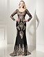 preiswerte Abendkleider-Eng anliegend Elegant Kleid Formeller Abend Pinsel Schleppe Langarm U-Ausschnitt Jersey mit Applikationen 2022 / Transparente