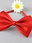 cheap Men&#039;s Accessories-Unisex Party / Work / Basic Bow Tie - Solid Colored / Cute