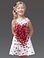 זול שמלות-בנות &#039; ללא שרוולים גרפיקה מודפסת תלת מימדית שמלות פוליאסטר שמלה קיץ ליציאה רזה דפוס