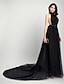 cheap Evening Dresses-A-Line Celebrity Style Dress Formal Evening Chapel Train Sleeveless Halter Neck Tulle with Draping 2023