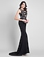 cheap Evening Dresses-Mermaid / Trumpet Formal Evening Dress Scoop Neck Sleeveless Sweep / Brush Train Jersey with Appliques 2021