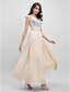 Χαμηλού Κόστους Βραδινά Φορέματα-Γραμμή Α Φανταχτερό Χάντρες &amp; πούλιες Επίσημο Βραδινό Φόρεμα Λαιμόκοψη V Αμάνικο Μακρύ Σιφόν με Ζώνη / Κορδέλα Πλισέ Πούλιες 2021