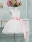 cheap Flower Girl Dresses-Ball Gown Knee Length Flower Girl Dress - Tulle Sleeveless V Neck with Bow(s) by