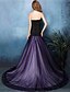 cheap Evening Dresses-Fit &amp; Flare Color Block Formal Evening Dress Notched Sleeveless Sweep / Brush Train Tulle with Pleats 2020