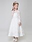 cheap Flower Girl Dresses-Ball Gown Ankle Length Flower Girl Dress - Polyester Tulle Long Sleeves Spaghetti Straps with Appliques by LAN TING BRIDE®