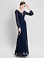 cheap Mother of the Bride Dresses-Sheath / Column Mother of the Bride Dress Open Back V Neck Floor Length Chiffon Long Sleeve No with Ruched Draping Crystal Brooch 2023
