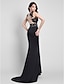 cheap Evening Dresses-Mermaid / Trumpet Formal Evening Dress Scoop Neck Sleeveless Sweep / Brush Train Jersey with Appliques 2021