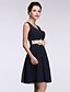 Χαμηλού Κόστους Φορέματα ειδικών περιστάσεων-Γραμμή Α Εφαρμοστό &amp; Εμβαζέ Λαιμόκοψη V Κοντό / Μίνι Σιφόν Κοκτέιλ Πάρτι / Καλωσόρισμα Φόρεμα με Λουλούδι με Shang Shang Xi