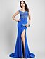 cheap Special Occasion Dresses-Mermaid / Trumpet Furcal Formal Evening Dress Illusion Neck Sleeveless Sweep / Brush Train Tulle Jersey with Appliques