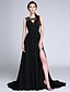 cheap Special Occasion Dresses-A-Line Elegant Dress Formal Evening Court Train Sleeveless Jewel Neck Chiffon with Ruched Lace Insert 2022