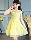 cheap Dresses-Girls&#039; Lace Casual / Daily Floral Sleeveless Dress