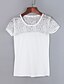 billiga T-shirts för damer-Enfärgad Bomull T-shirt Dam Rund hals Vit L / Bodycon / Sommar