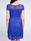 cheap Women&#039;s Dresses-Women&#039;s Lace Going out Sophisticated Slim Lace Dress - Solid Colored Summer Black Red Blue S M L XL