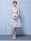 Χαμηλού Κόστους Φορέματα Παρανύμφων-Γραμμή Α Scoop Neck Κοντό / Μίνι Τούλι Φόρεμα Παρανύμφων με Διακοσμητικά Επιράμματα με LAN TING BRIDE®