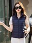 cheap Women&#039;s Puffer&amp;Parka-Women&#039;s Going out Casual / Active / Street chic White Duck Down Down - Solid Colored Stand / Winter