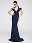 Χαμηλού Κόστους Φορέματα ειδικών περιστάσεων-Τρομπέτα / Γοργόνα Φόρεμα Επίσημο Βραδινό Ουρά Κοντομάνικο Βυθίζοντας το λαιμό Ζέρσεϊ με Πλαϊνό ντραπέ 2024