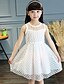 cheap Dresses-Girls&#039; Lace Casual / Daily Floral Sleeveless Dress