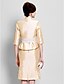 זול שמלות לאם הכלה-מעטפת \ עמוד צווארון גבוה באורך  הברך טפטה שמלה לאם הכלה  עם תחרה על ידי LAN TING BRIDE®