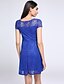 cheap Women&#039;s Dresses-Women&#039;s Lace Going out Sophisticated Slim Lace Dress - Solid Colored Summer Black Red Blue S M L XL