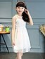 cheap Dresses-Girls&#039; Lace Casual / Daily Floral Sleeveless Dress