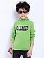 voordelige T-shirts &amp; Overhemden-Jongens Bloemen Casual / Dagelijks Print Lange mouw Katoen Hoodie &amp; Sweatshirt