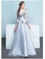 cheap Special Occasion Dresses-A-Line See Through Prom Formal Evening Dress V Neck Long Sleeve Floor Length Tulle with Beading 2020